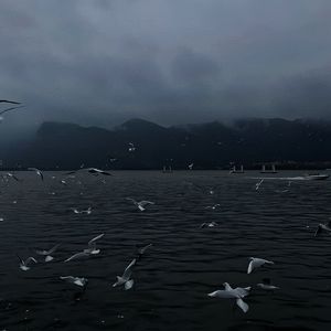 阿~宝宝快C死我
